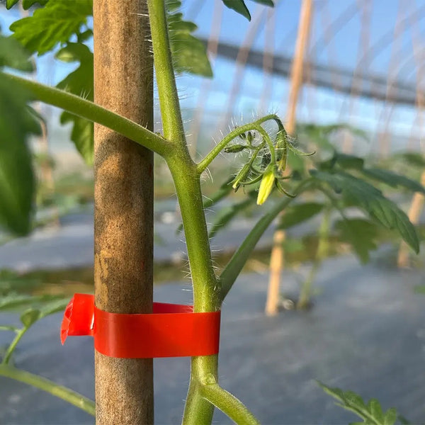 Aparat Legat Vita de Vie, Legume, Pomi Fructiferi Role si Capse Incluse Trendysale.ro