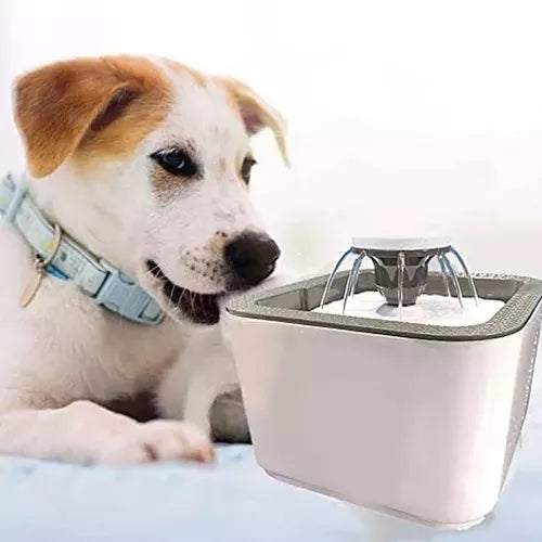 Fantana electrica cu dozator de apa pentru pisici si caini Trendysale.ro