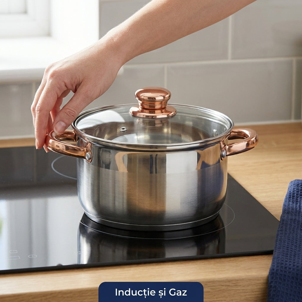 Set Oale și Tigaie Inox 12 Piese, 5 Straturi, Capace din Sticlă, Mânere Aramii, Compatibil Inducție